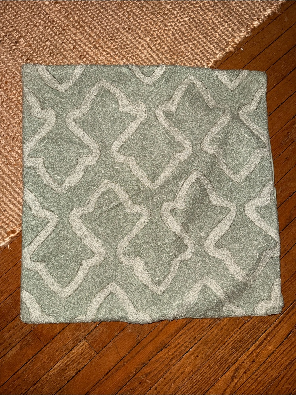 Pottery Barn (2) beaded sage Green/blue 20x20 pillow covers